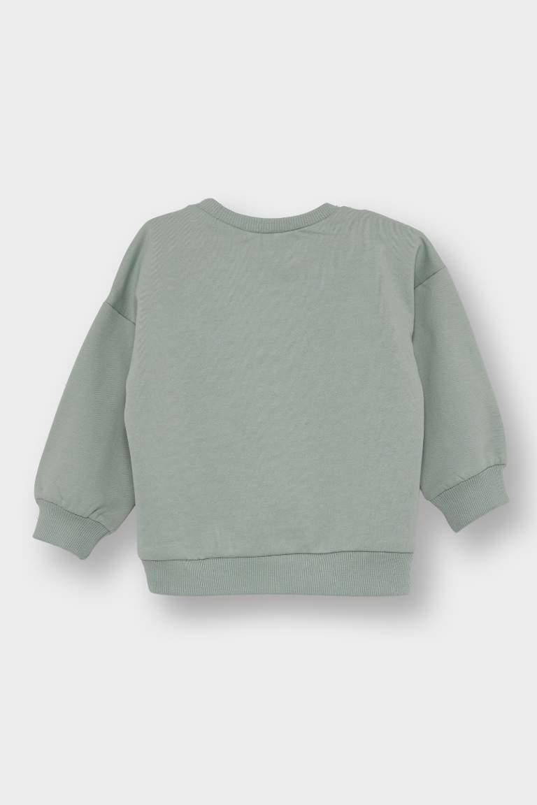 Regular Fit Crew Neck Sweatshirt
