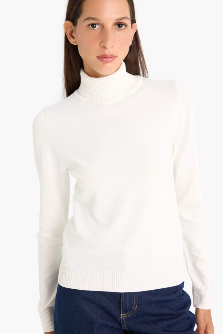 Regular Fit Half Turtleneck Pullover