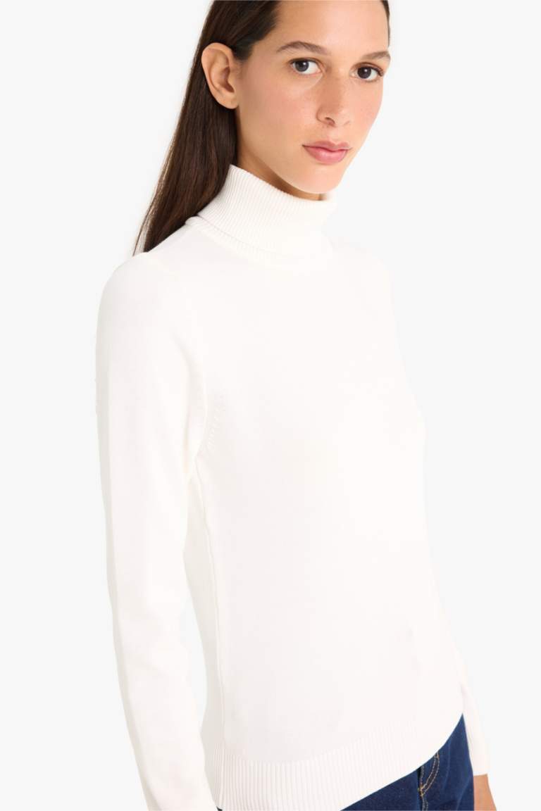 Regular Fit Half Turtleneck Pullover