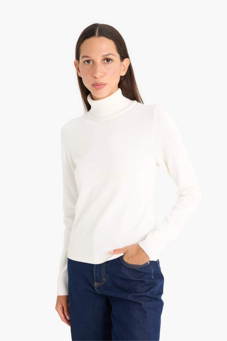 Regular Fit Half Turtleneck Pullover