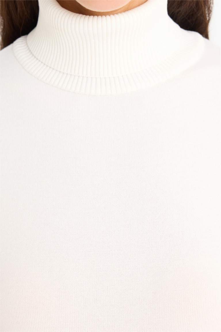 Regular Fit Half Turtleneck Pullover