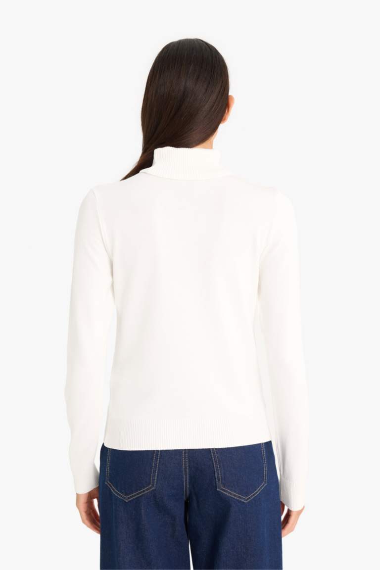 Regular Fit Half Turtleneck Pullover