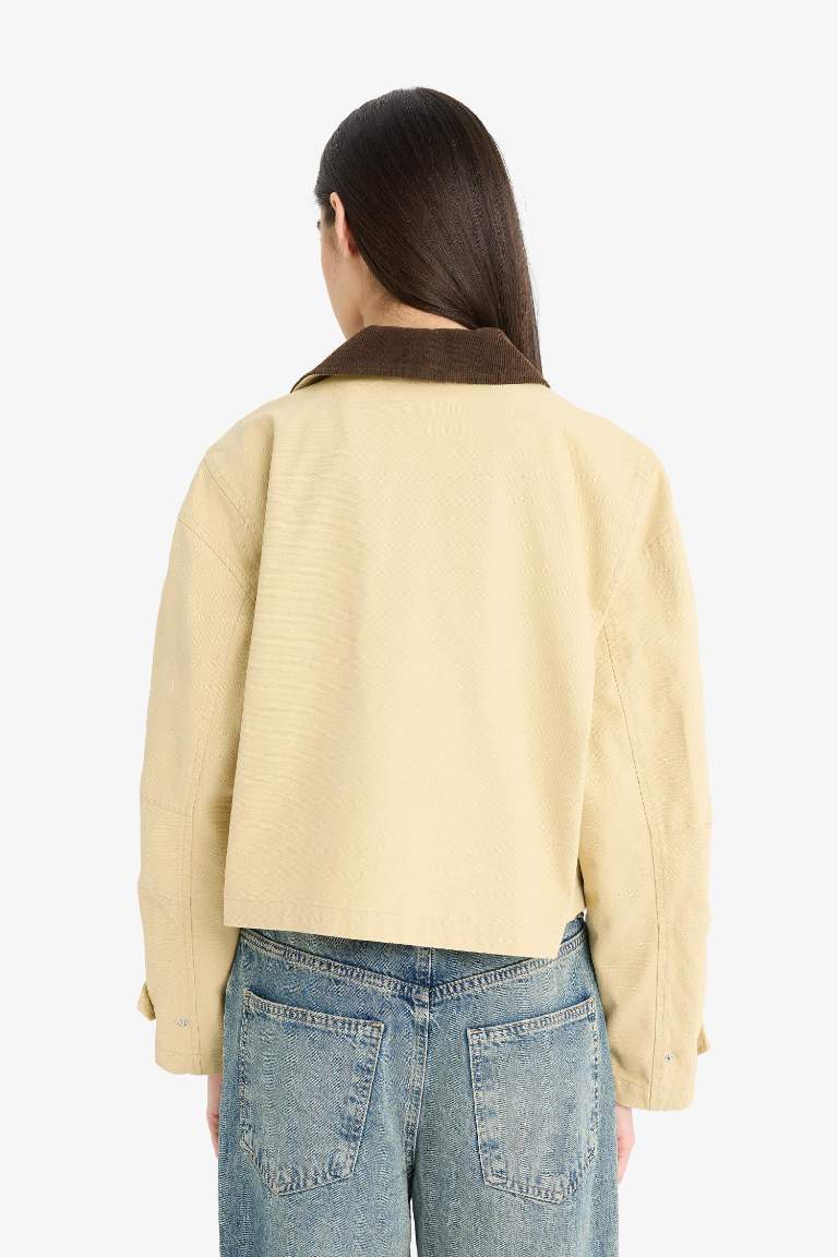 Regular Fit Kontrast Yakalı Fermuarlı Cepli Crop Mont