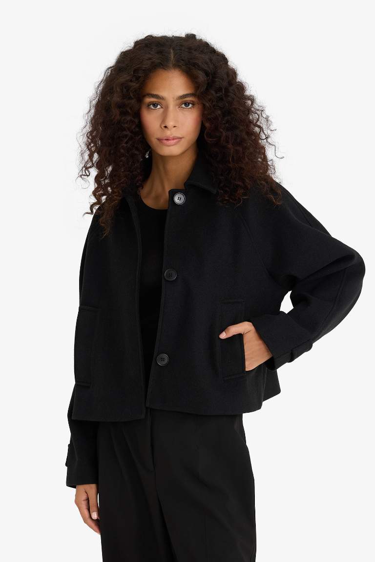 Regular Fit Polo Collar Cropped Jacket
