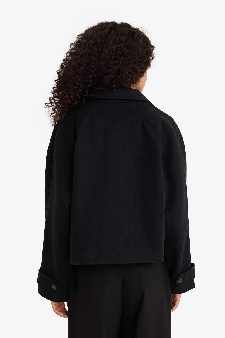 Regular Fit Polo Collar Cropped Jacket