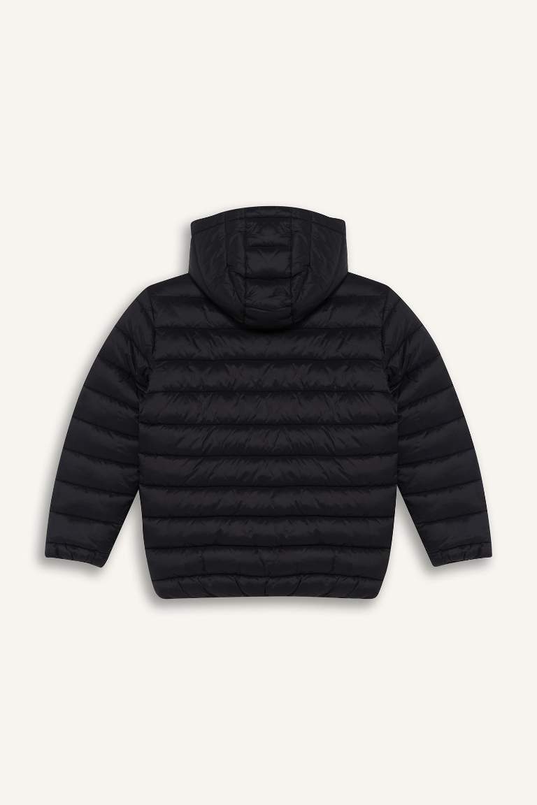 Boy Hooded Water Repellent Puffer Jacket