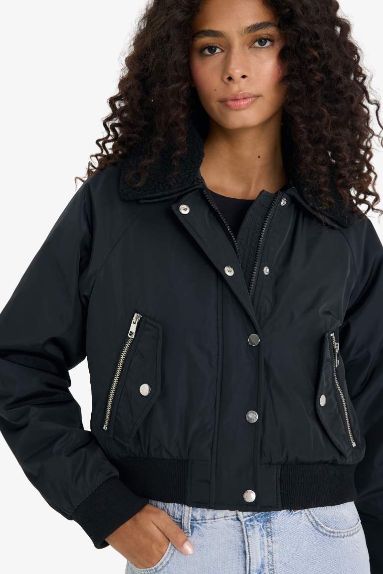 Regular Fit Polo Neck Waterproof Crop Jacket