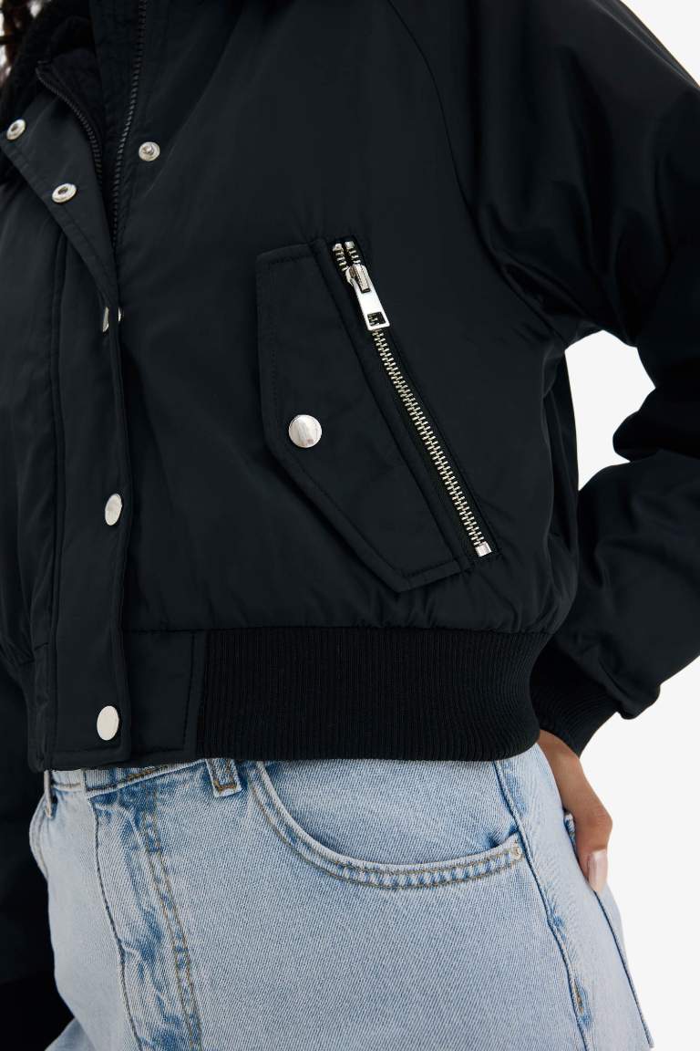 Regular Fit Polo Neck Waterproof Crop Jacket