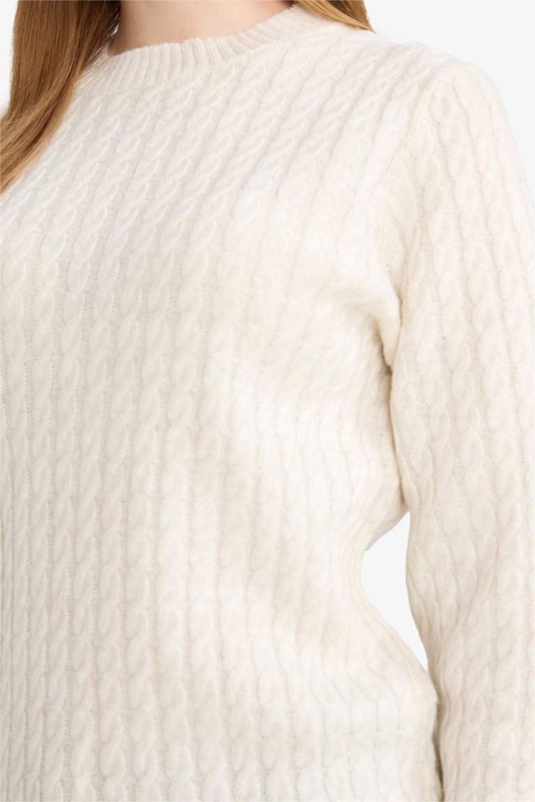 Regular Fit Crew Neck Pullover