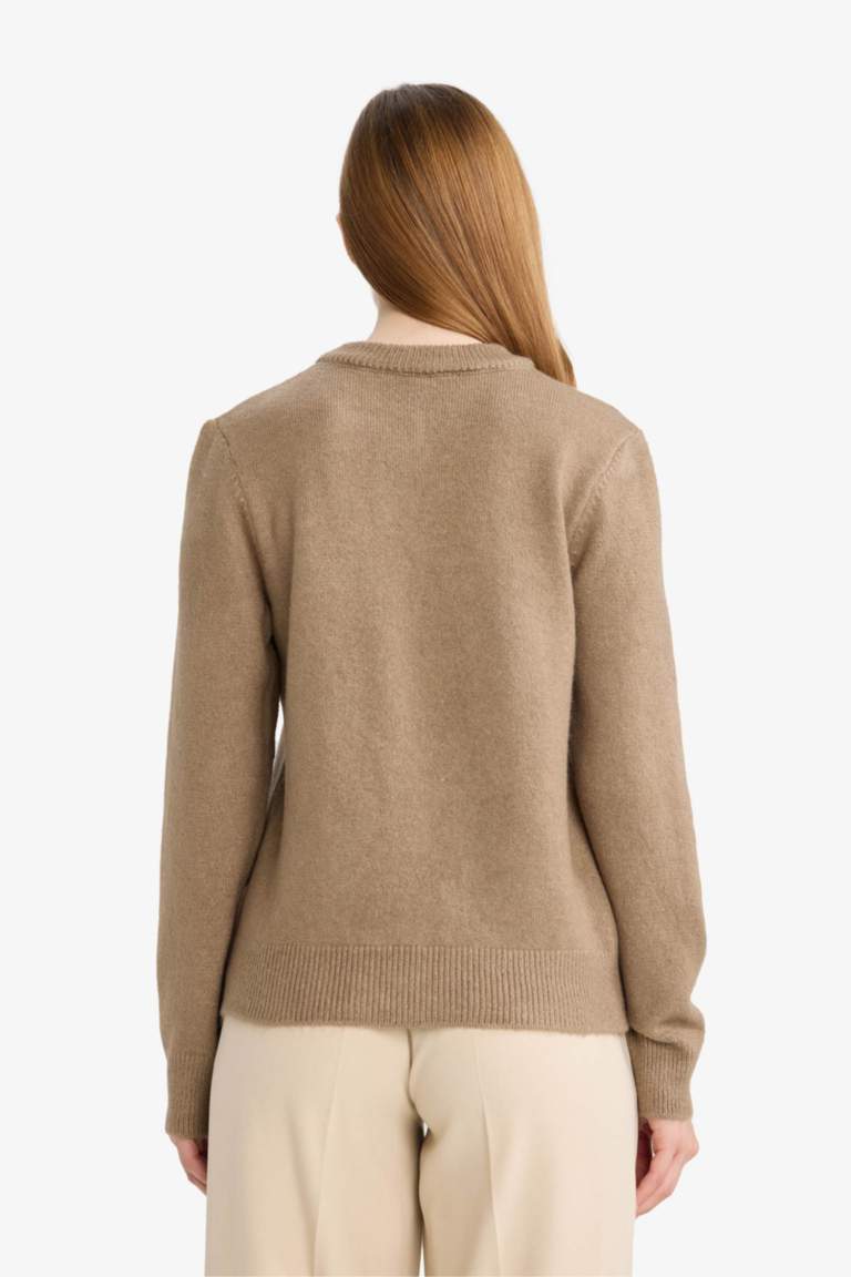 Regular Fit Bisiklet Yaka Düğmeli Taşlı Triko Hırka