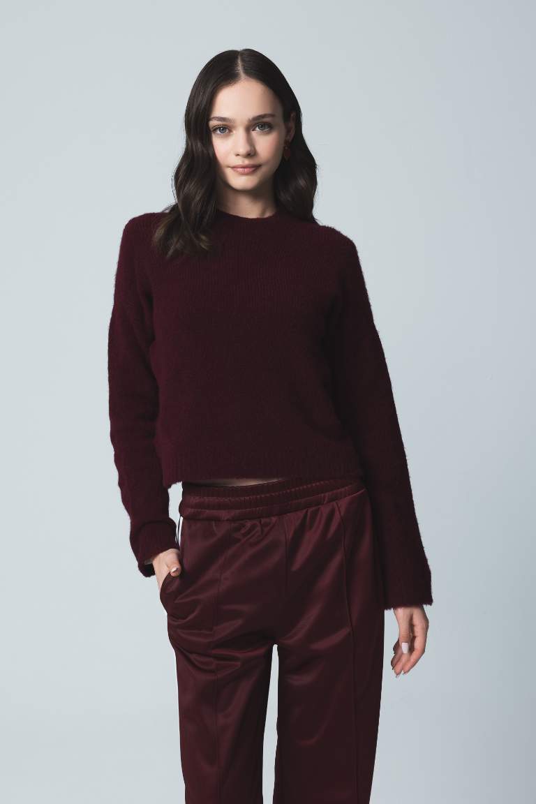 Pull tricot basique sans couture à col rond et coupe régulière