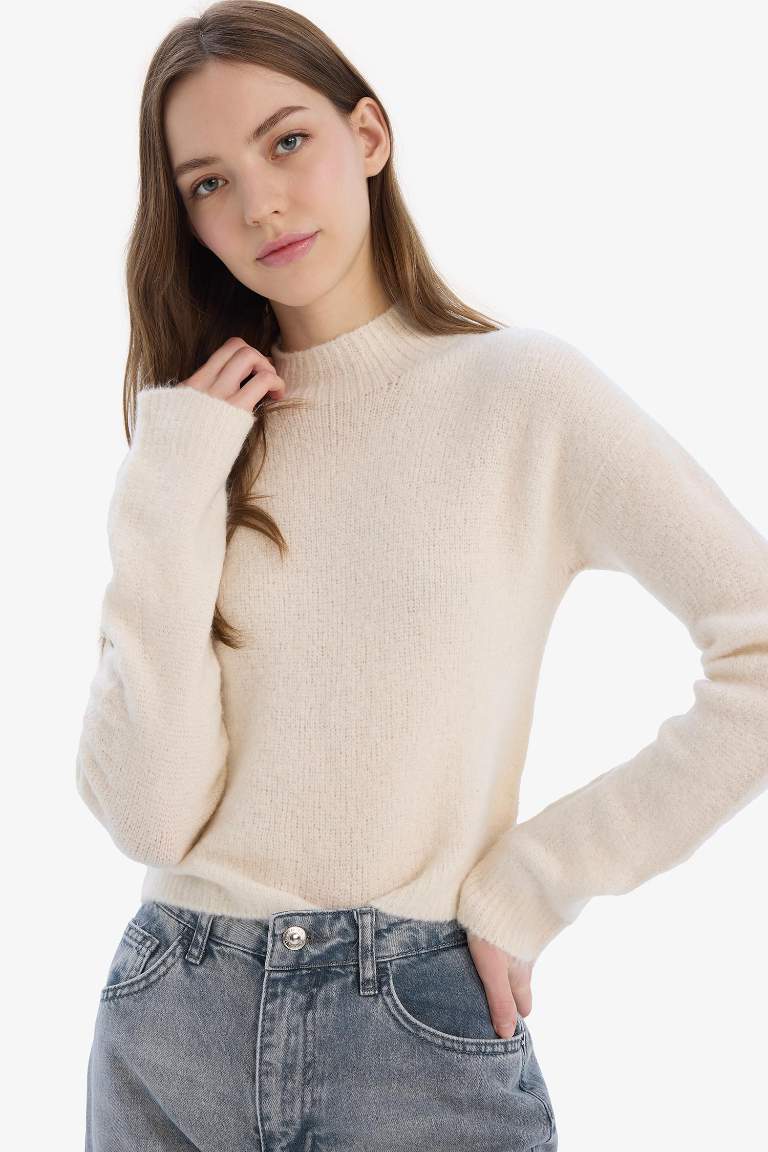 Regular Fit Crew Neck Knitwear Pullover