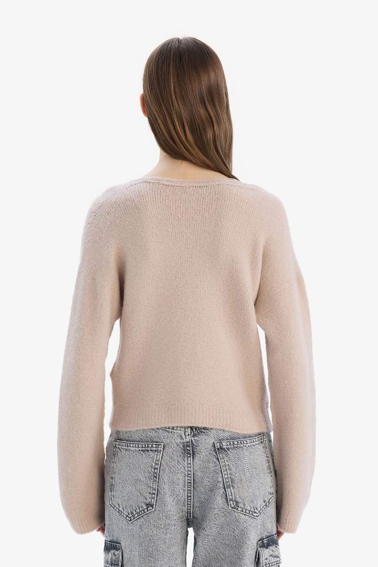 Regular Fit V Neck Basic Knit Pullover