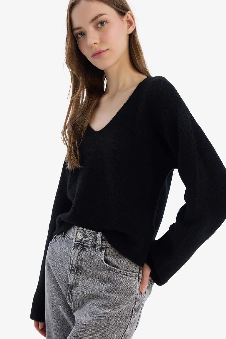 Regular Fit V Neck Basic Knit Pullover