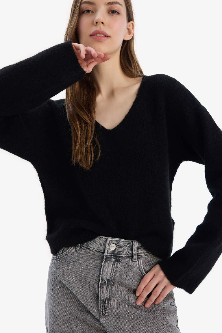 Regular Fit V Neck Basic Knit Pullover