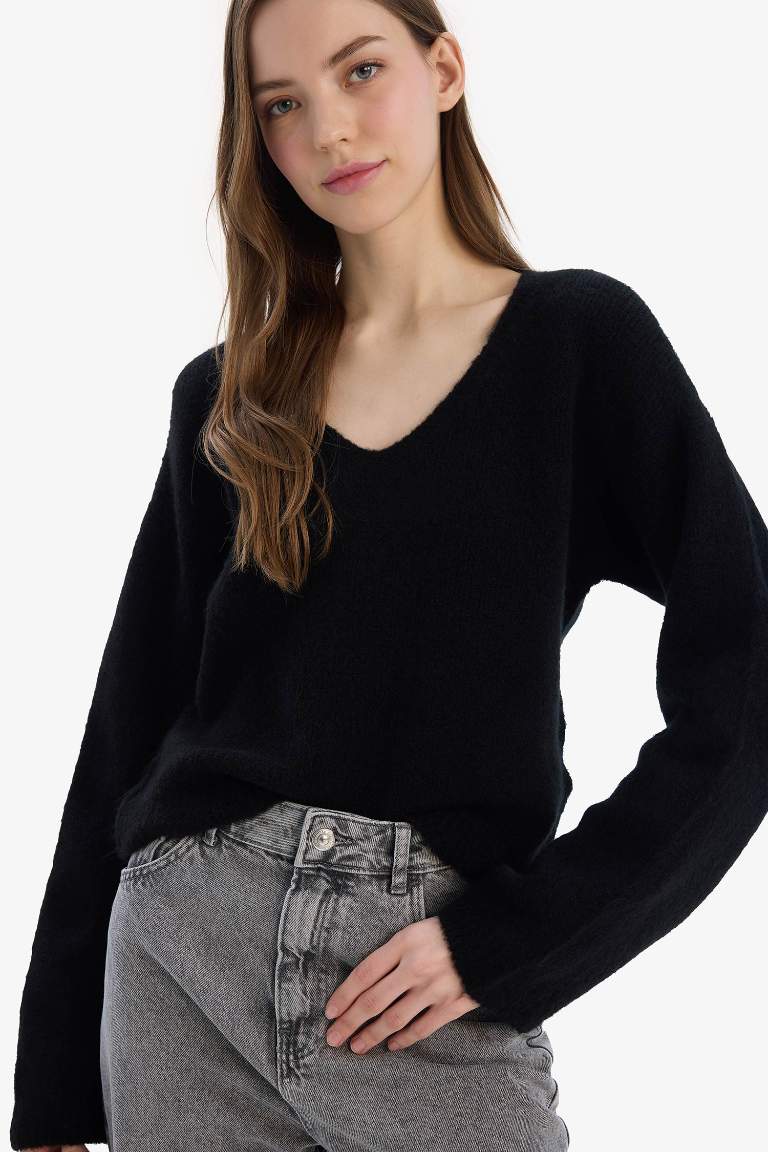 Regular Fit V Neck Basic Knit Pullover