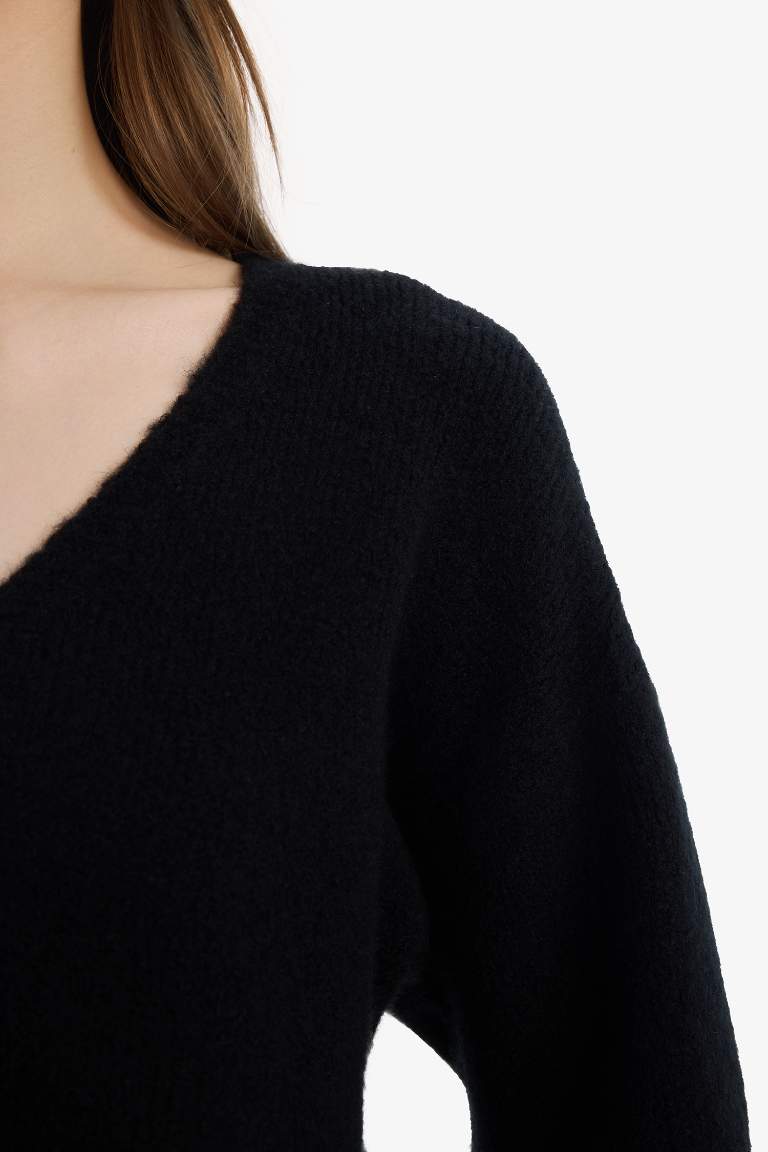 Regular Fit V Neck Basic Knit Pullover