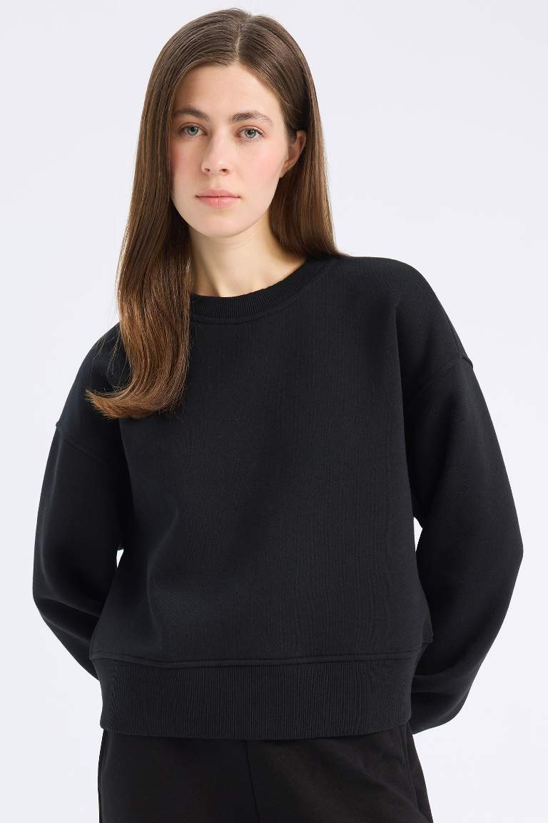 Boxy Fit Crew Neck Basic Thick Sweatshirt