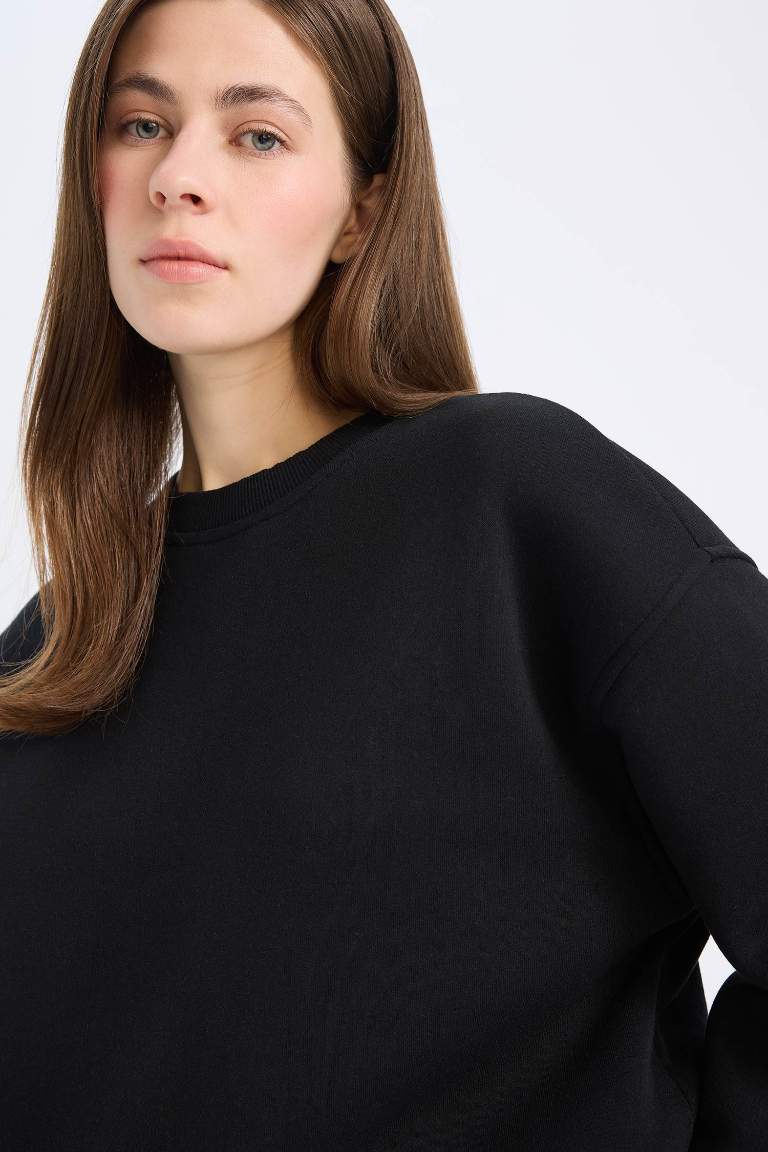 Boxy Fit Crew Neck Basic Thick Sweatshirt