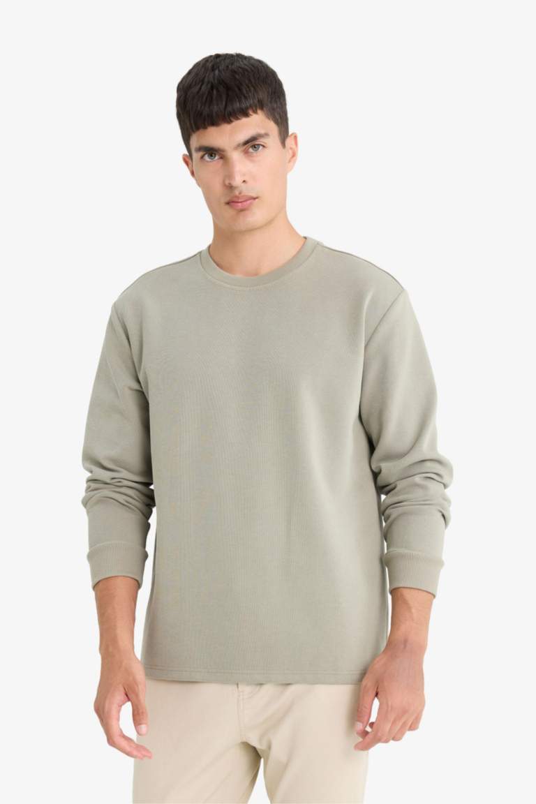 Regular Fit Crew Neck Long Sleeve Body