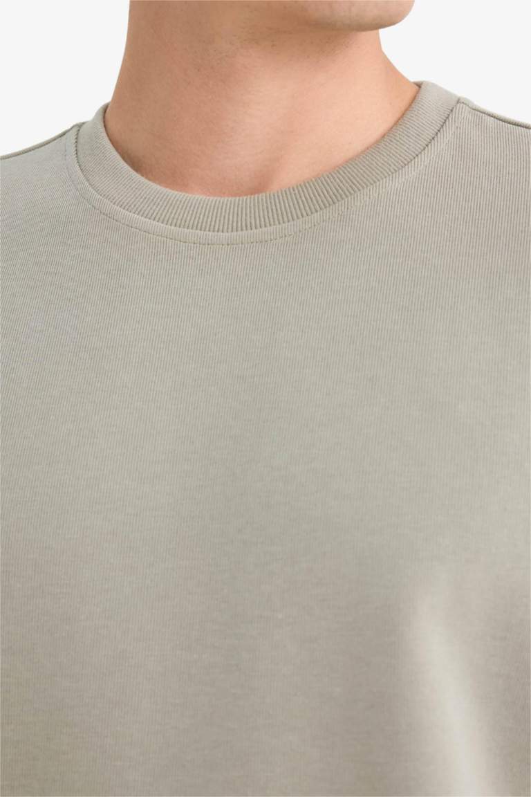 Regular Fit Crew Neck Long Sleeve Body