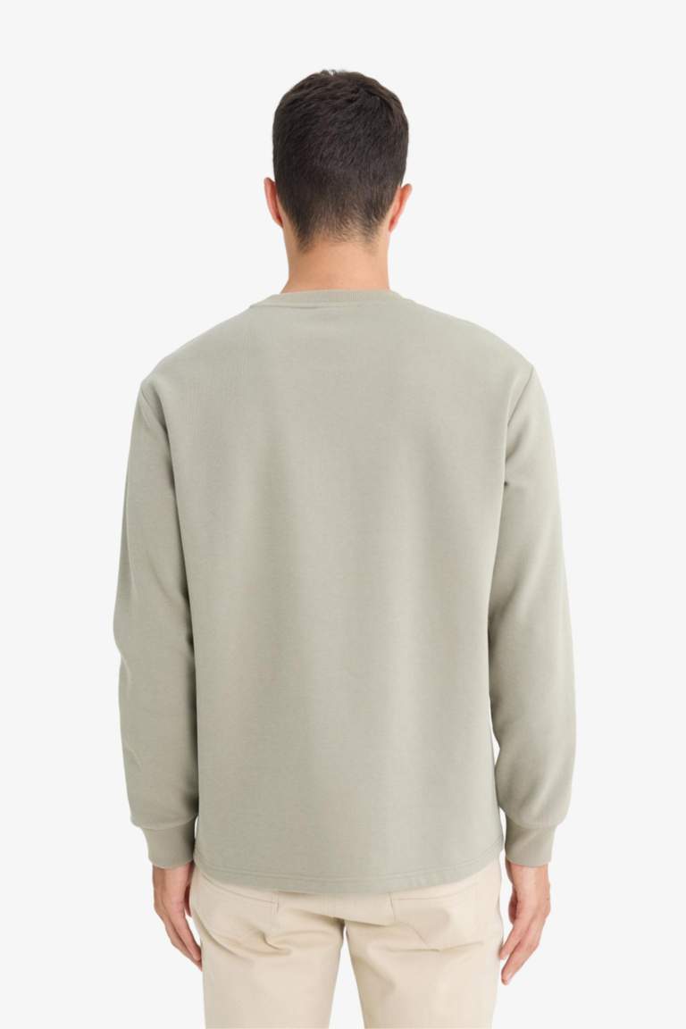 Regular Fit Crew Neck Long Sleeve Body