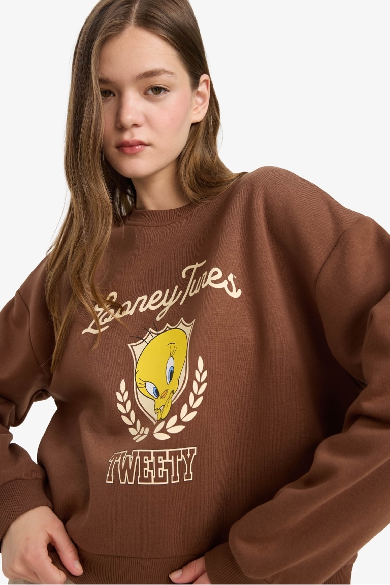 Coool Looney Tunes Лицензиялық қалыпты пішім үлкен дөңгелек жаға Свитер