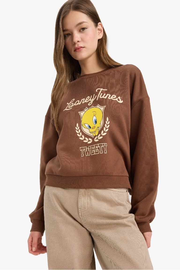 Coool Looney Tunes Лицензиялық қалыпты пішім үлкен дөңгелек жаға Свитер