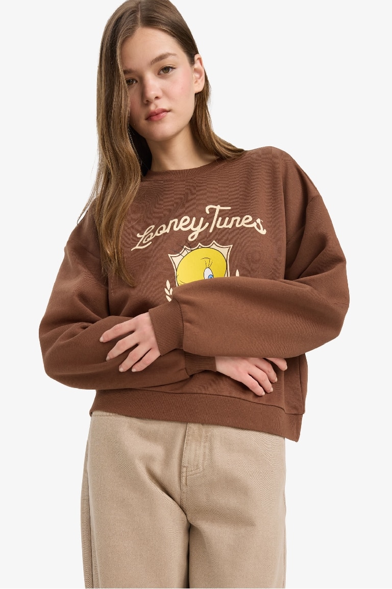 Coool Looney Tunes Лицензиялық қалыпты пішім үлкен дөңгелек жаға Свитер