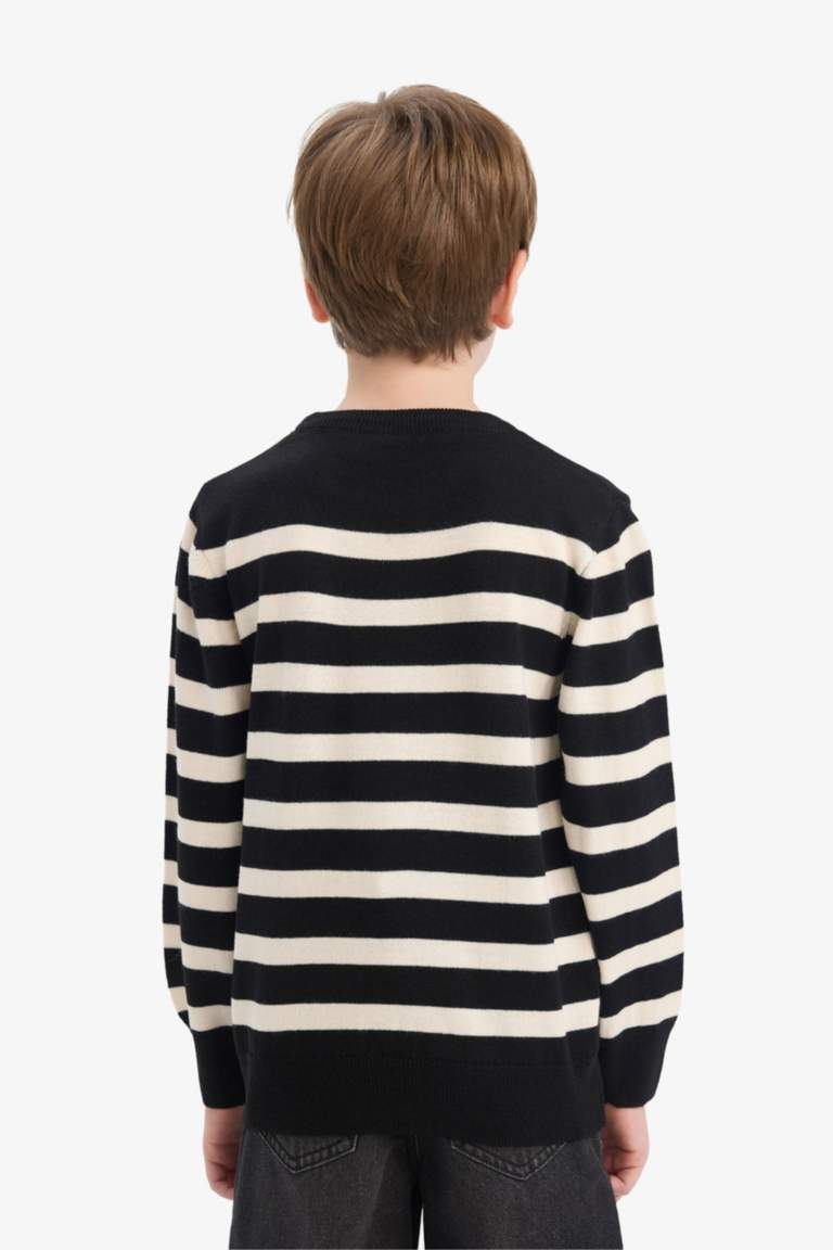 Boy Regular Fit Crew Neck Pullover