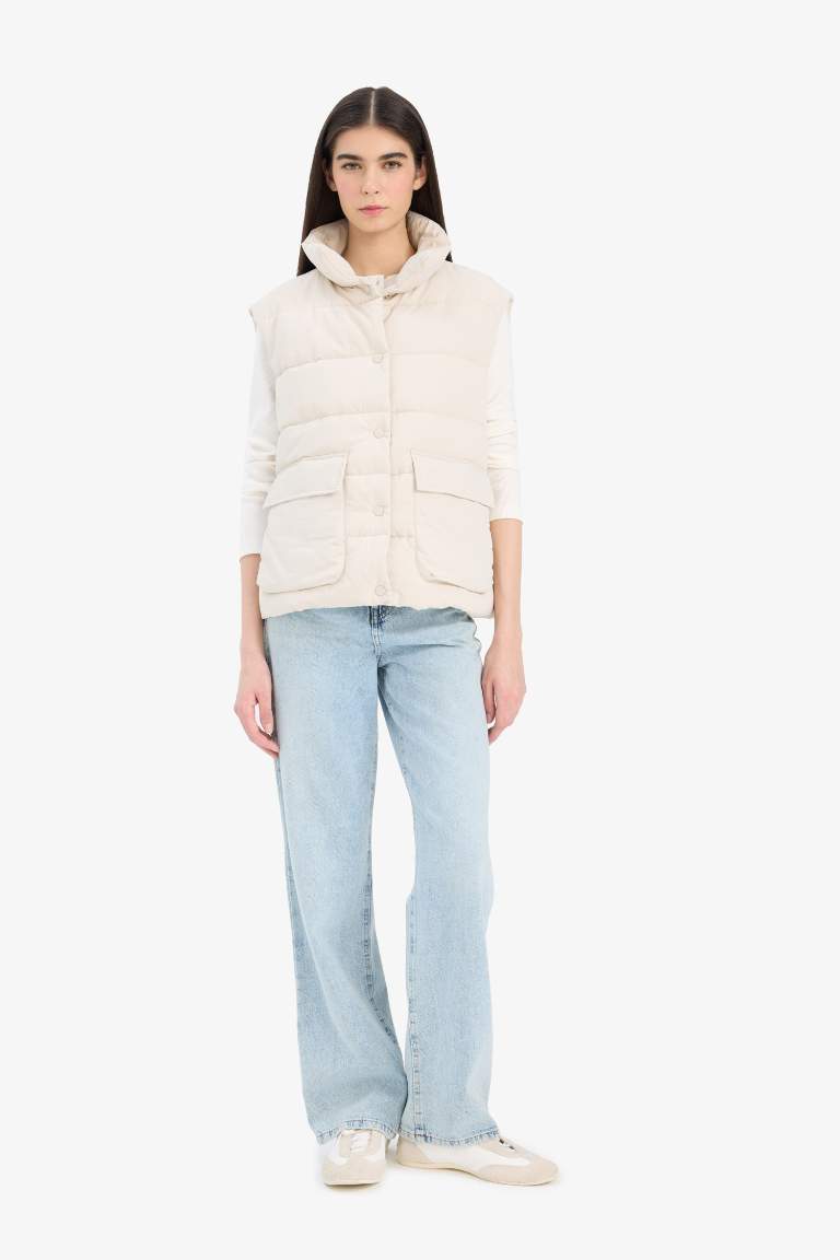 Regular Fit Stand Collar Zippered Puffer Vest