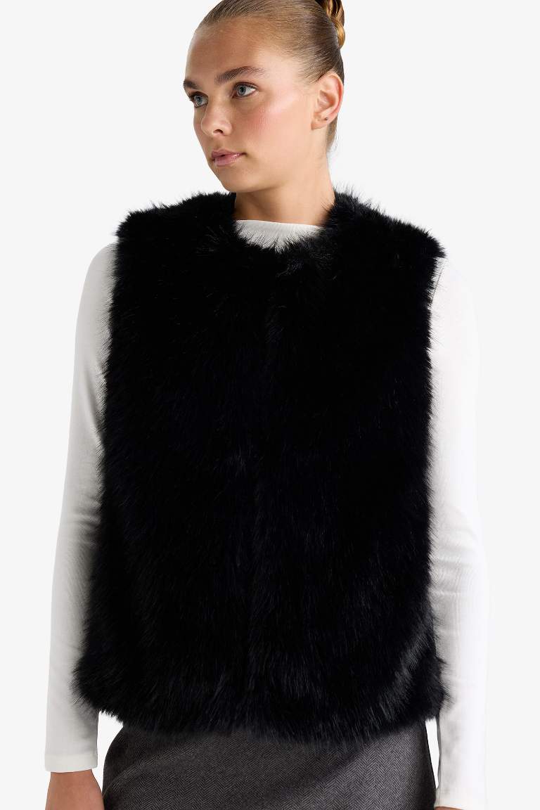 جيلي قصة عادية