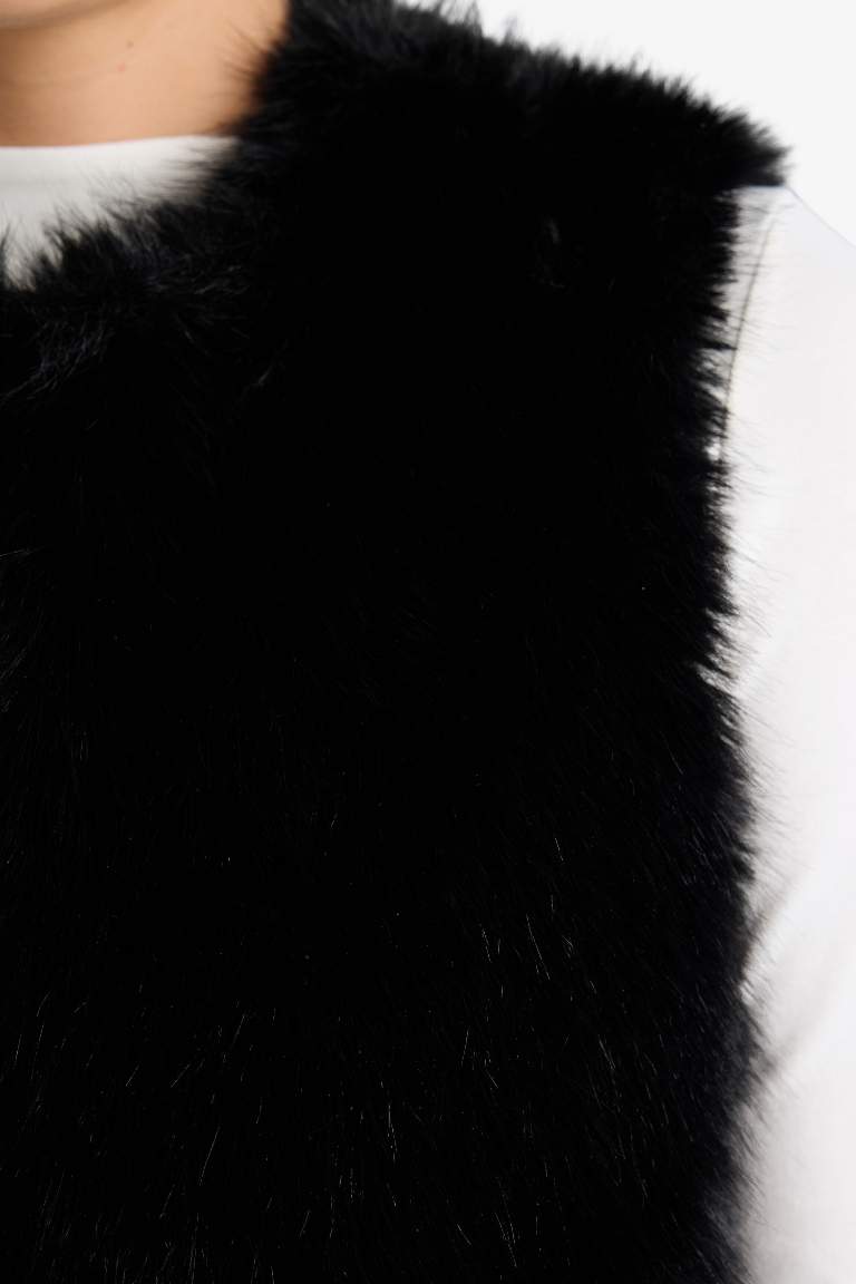 جيلي قصة عادية