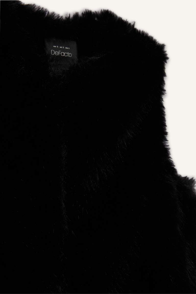 جيلي قصة عادية