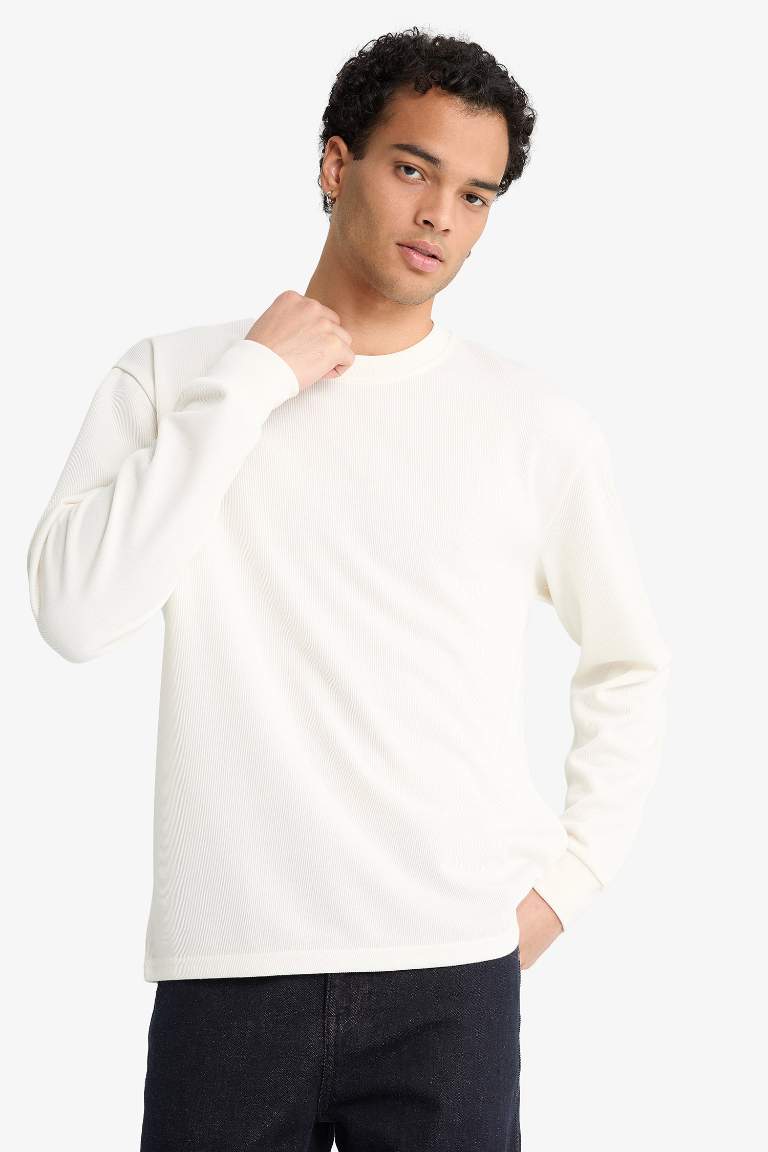 Regular Fit Crew Neck Long Sleeve Body