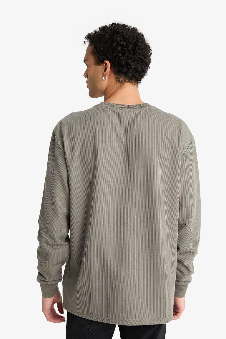 Regular Fit Crew Neck Long Sleeve Body