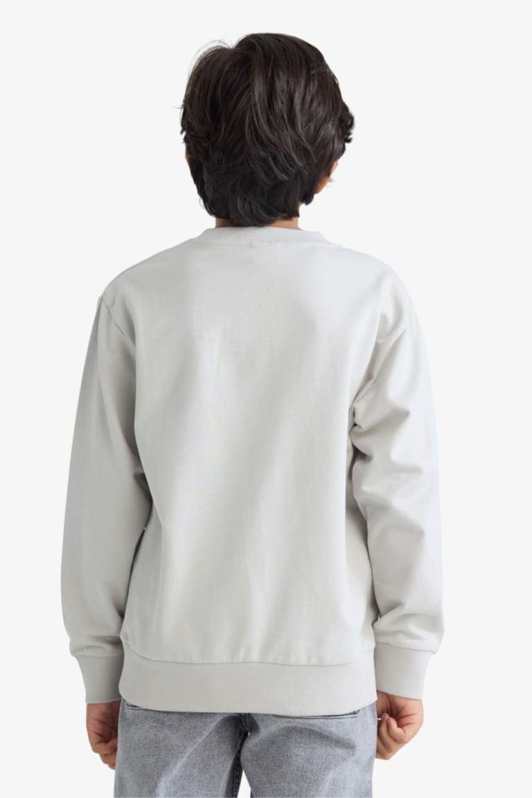 سويت شيرت ولادي بيزك سادة قصة عادية بياخة مستديرة