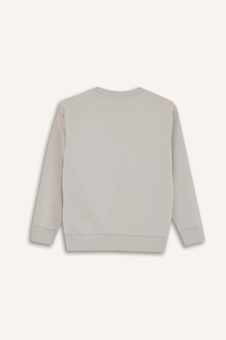 سويت شيرت ولادي بيزك سادة قصة عادية بياخة مستديرة