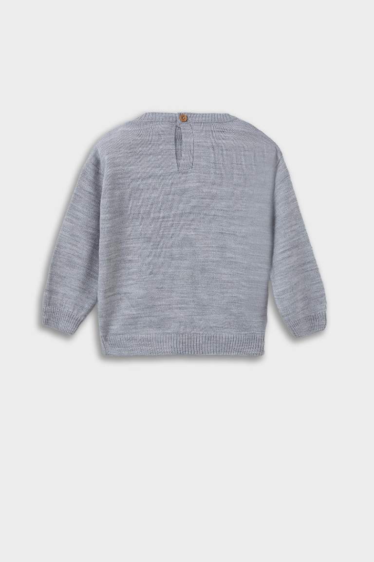 Baby Boy Regular Fit Printed Pullover
