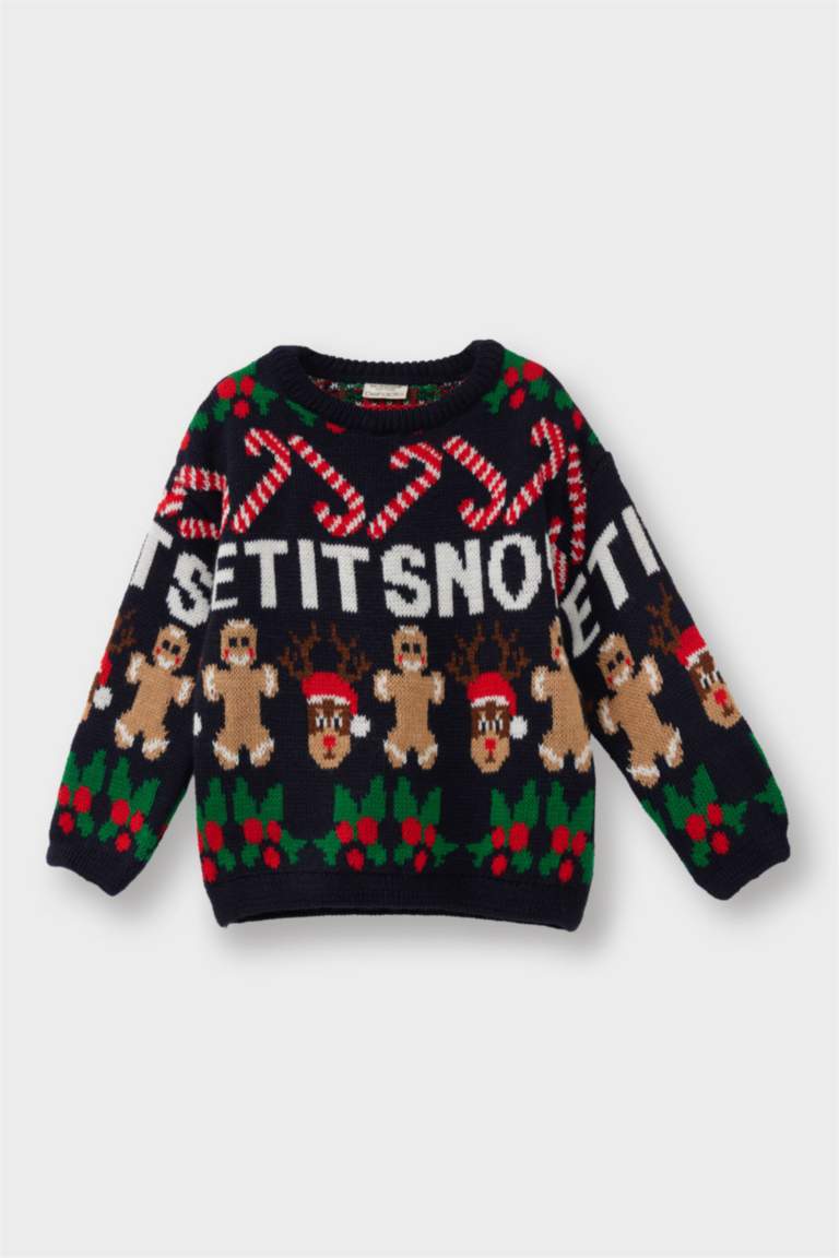 Baby Boy Regular Fit Pullover