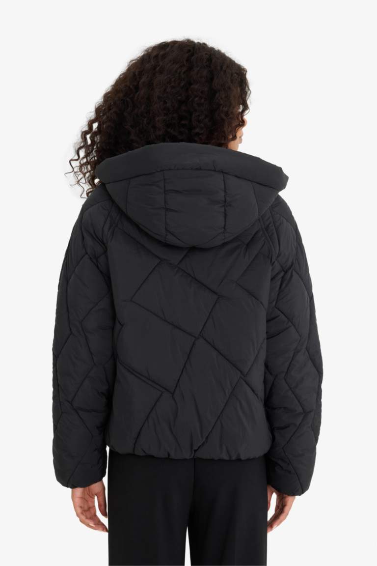 Waterproof Regular Fit Puffer Jacket