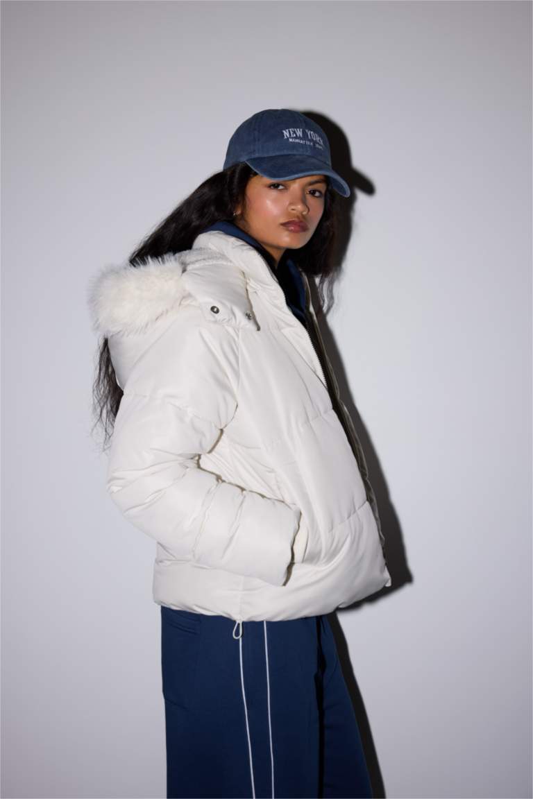 Windproof Regular Fit Hooded Puffer Jacket