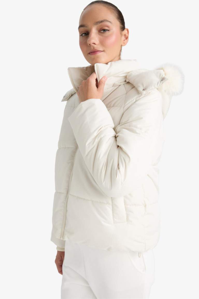 Windproof Regular Fit Hooded Puffer Jacket