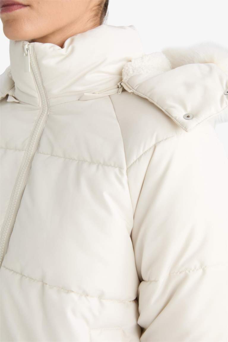 Windproof Regular Fit Hooded Puffer Jacket