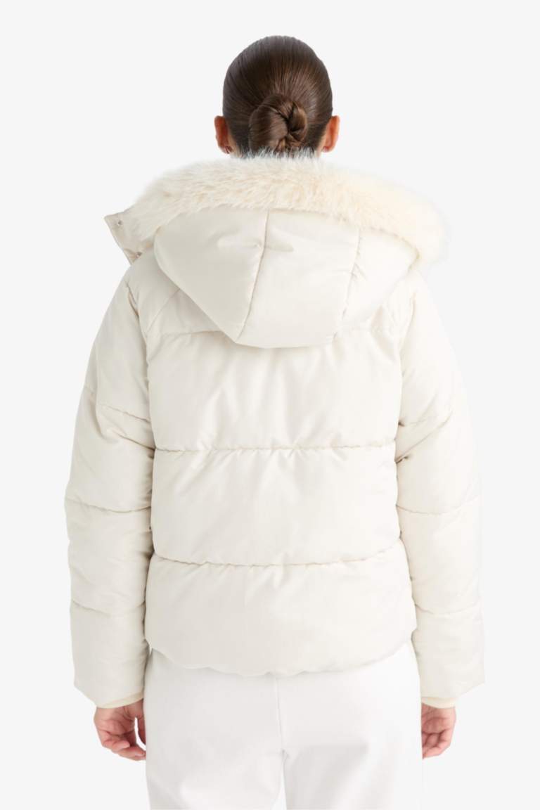 Windproof Regular Fit Hooded Puffer Jacket