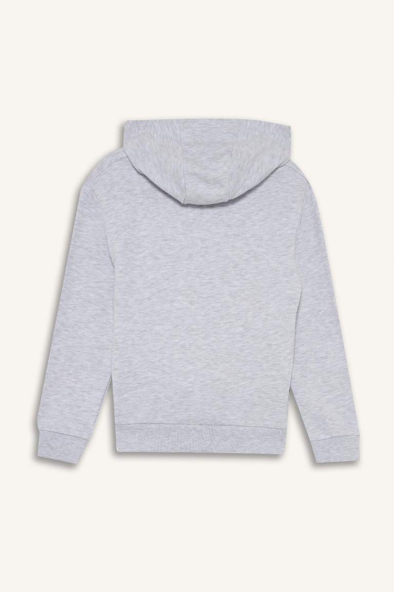 Boy Hooded Printed Sweatshirt