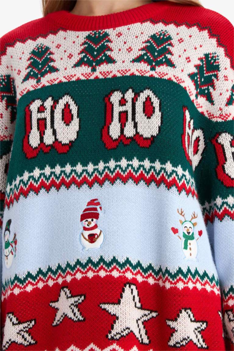 Regular Fit Crew Neck Christmas Pullover