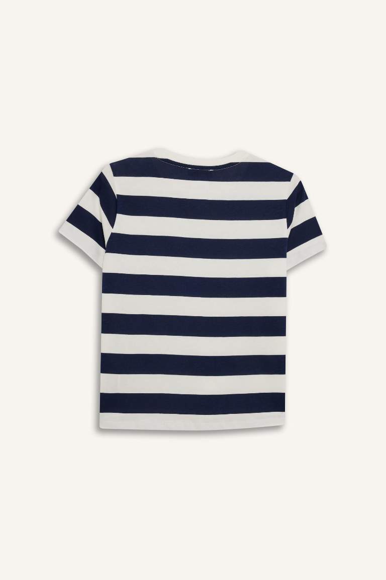Woman Short Sleeve T-Shirt
