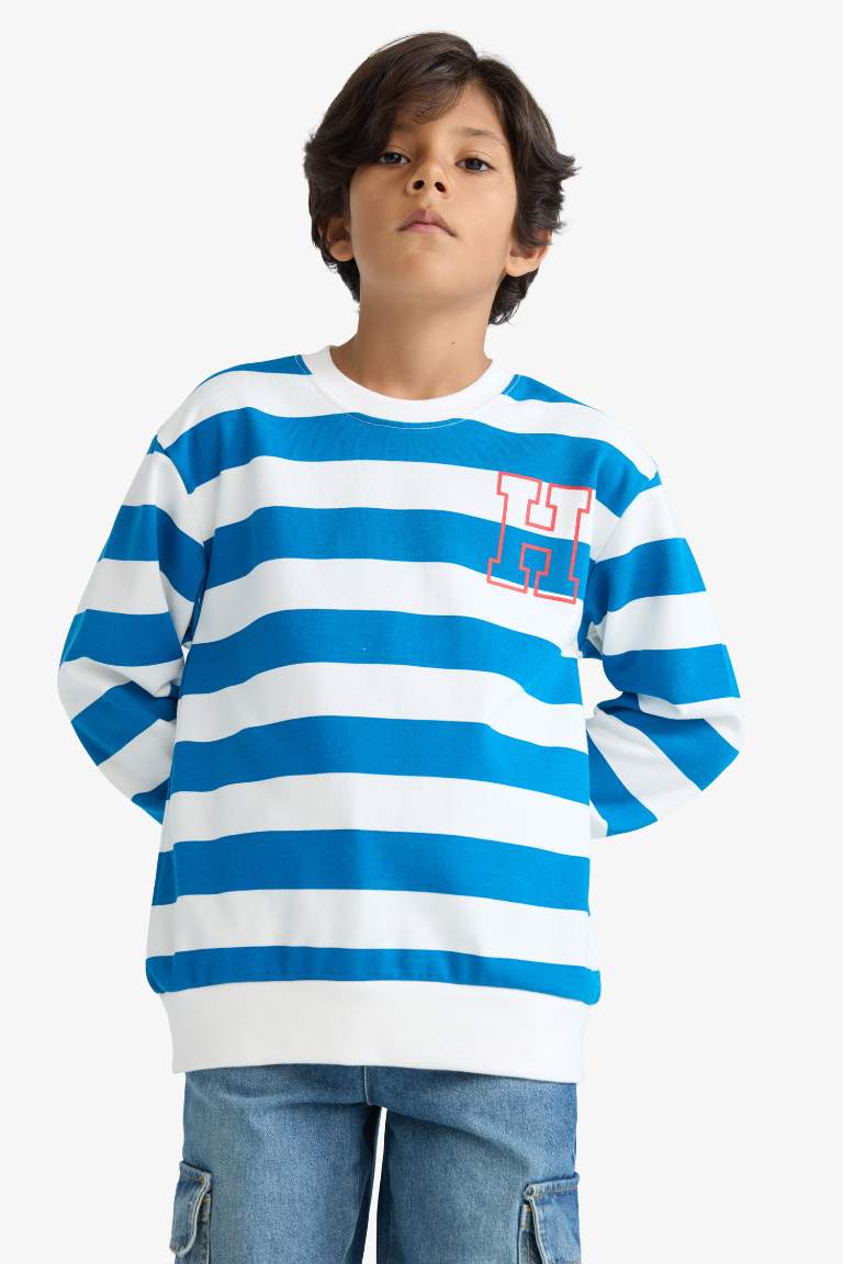 Boy Crew Neck Striped Sweatshirt