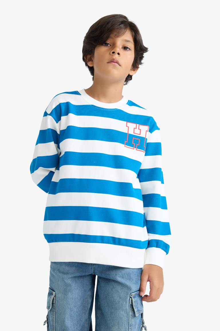 Boy Crew Neck Striped Sweatshirt
